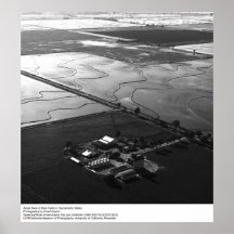 Antennen beskådar av risfält av Ansel Adams Posters