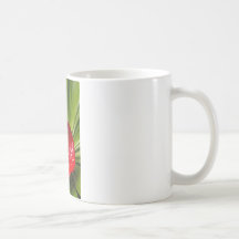Anthirium Kaffe Mugg