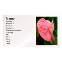 Anthurium Visitkort Mallar