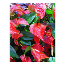 Anthuriums Personliga Inbjudan