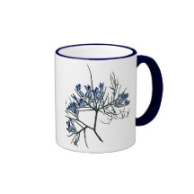 Anthyllis Erinacea Kaffe Koppar