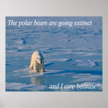 Anti-Polar björnar Affischer