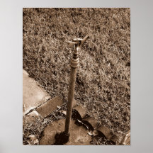 Antik Sprinkler Affisch