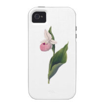 Antikt Orchidtryck