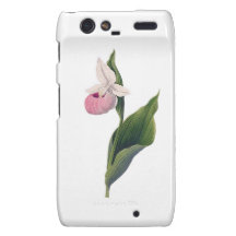Antikt Orchidtryck
