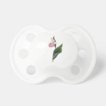 Antikt Orchidtryck