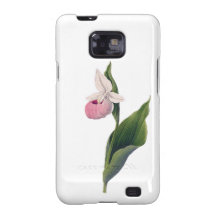 Antikt Orchidtryck