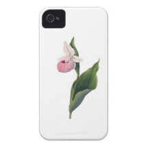Antikt Orchidtryck Case-Mate iPhone 4 Fodraler