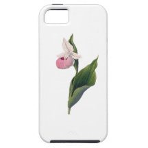 Antikt Orchidtryck iPhone 5 Skydd