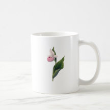 Antikt Orchidtryck Kaffe Mugg
