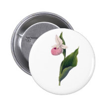Antikt Orchidtryck Knappar