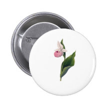 Antikt Orchidtryck Knappar