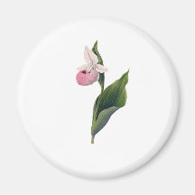 Antikt Orchidtryck Magneter