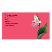 Antikt Orchidtryck med rosa bakgrund Visit Kort