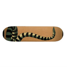 Antikvarisk orm -, färgrik bokillustration skate board deck
