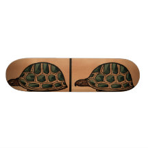 Antikvarisk sköldpadda -, färgrik bokillustration skate decks