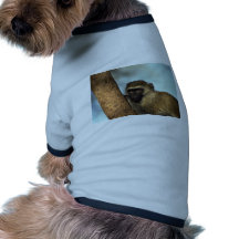 Apa Djur Shirt