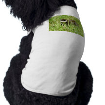 apa hund kläder