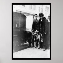 Apa i limoen NYC 1912 Posters