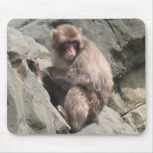 Apafotografimousepad Mus Matta