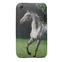 Appaloosahästspring 2 iPhone 3 case