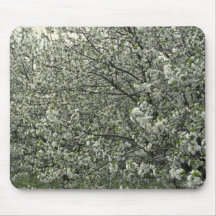 Apple blommarfoto musmattor