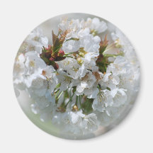 Apple blommarmagnet kylskåpmagneter