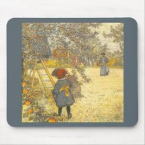 "Apple Harvest