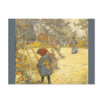 "Apple Harvest Vykort