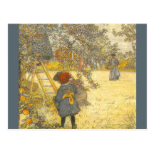 "Apple Harvest Vykort