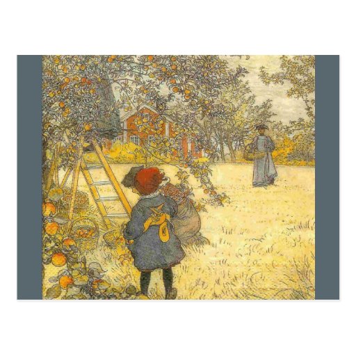 "Apple Harvest Vykort