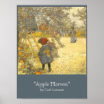 "Apple skörd" vid Carl Larsson Posters