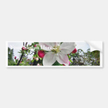 Apple träd i blommar bildekaler