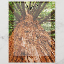 April kalender flygblad designs