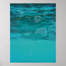 Aqua Affisch