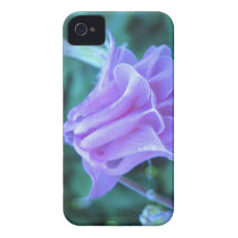 Aquilegia makroblomma iPhone 4 hud