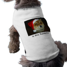 Är denna Santa??? Hund T-shirt