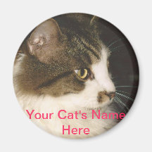 Är vad din katt namn? kylskåpmagneter