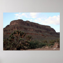 Arizona Affischer