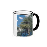 Arizona gräs kaffe koppar