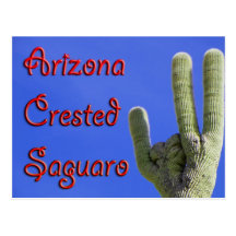 Arizona krönade saguaroen vykort