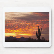 Arizona November soluppgång med saguaroen Mus Matta