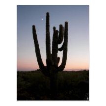 Arizona solnedgång vykort