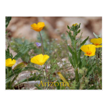 Arizona vykort