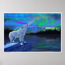 Arktisk Wolf som tjuter på djurlivkonst för morgon Print