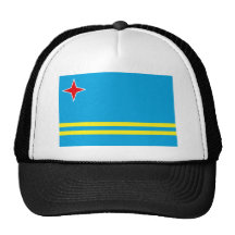 Aruba Mesh Kepsar
