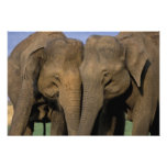 Asien Indien, Nargahole nationalpark. Indier Foto