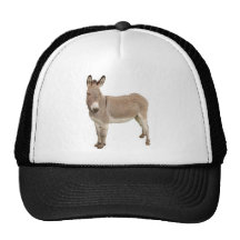 Åsnadesign Trucker Kepsar