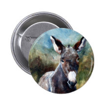Åsnaporträtt Pins