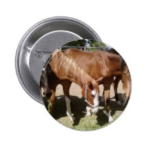 Äta för flera hästar knapp